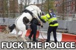 fuck+the+police..jpg